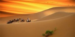 阳江拓展培训课程—沙漠掘金